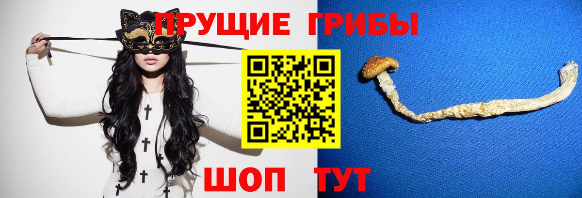 Псилоцибиновые грибы мицелий Элиста