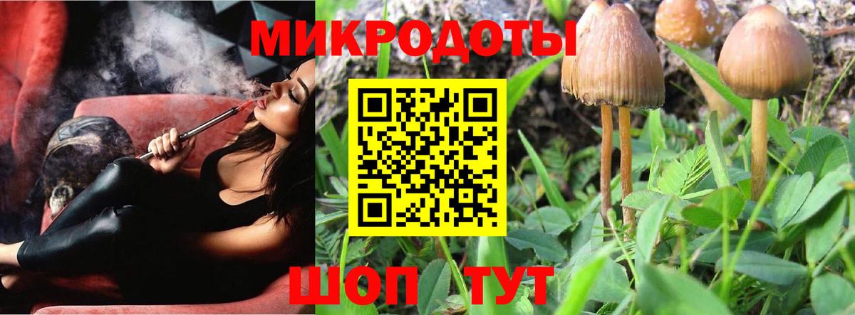 магазин    Псилоцибиновые грибы GOLDEN TEACHER  Вход с VPN  Элиста 